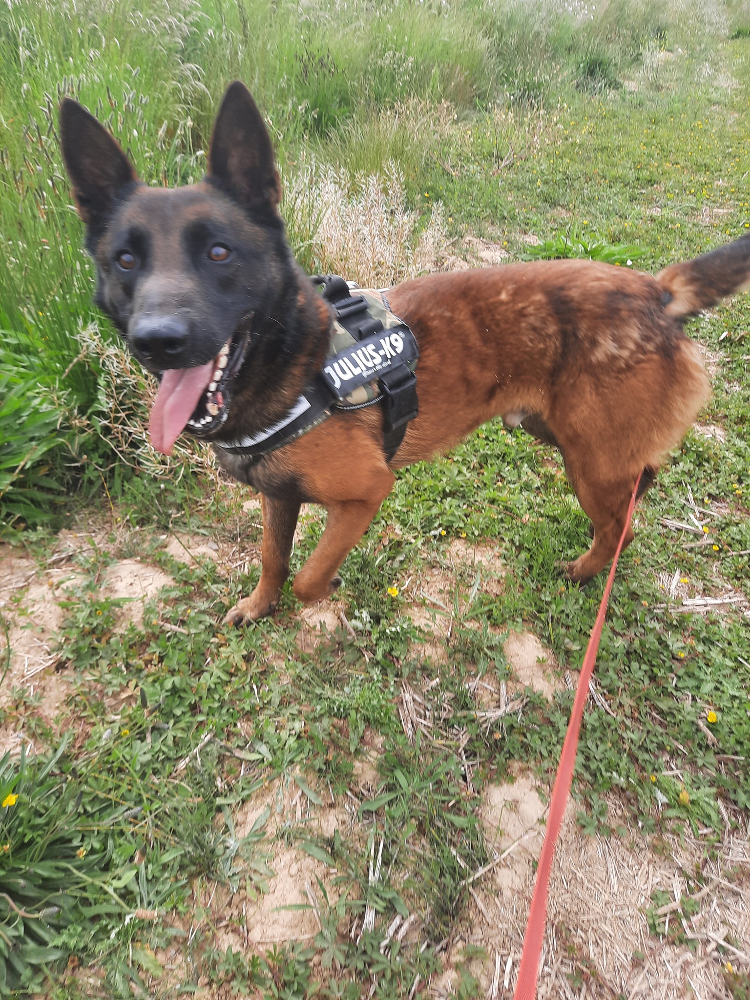 Bandit2
