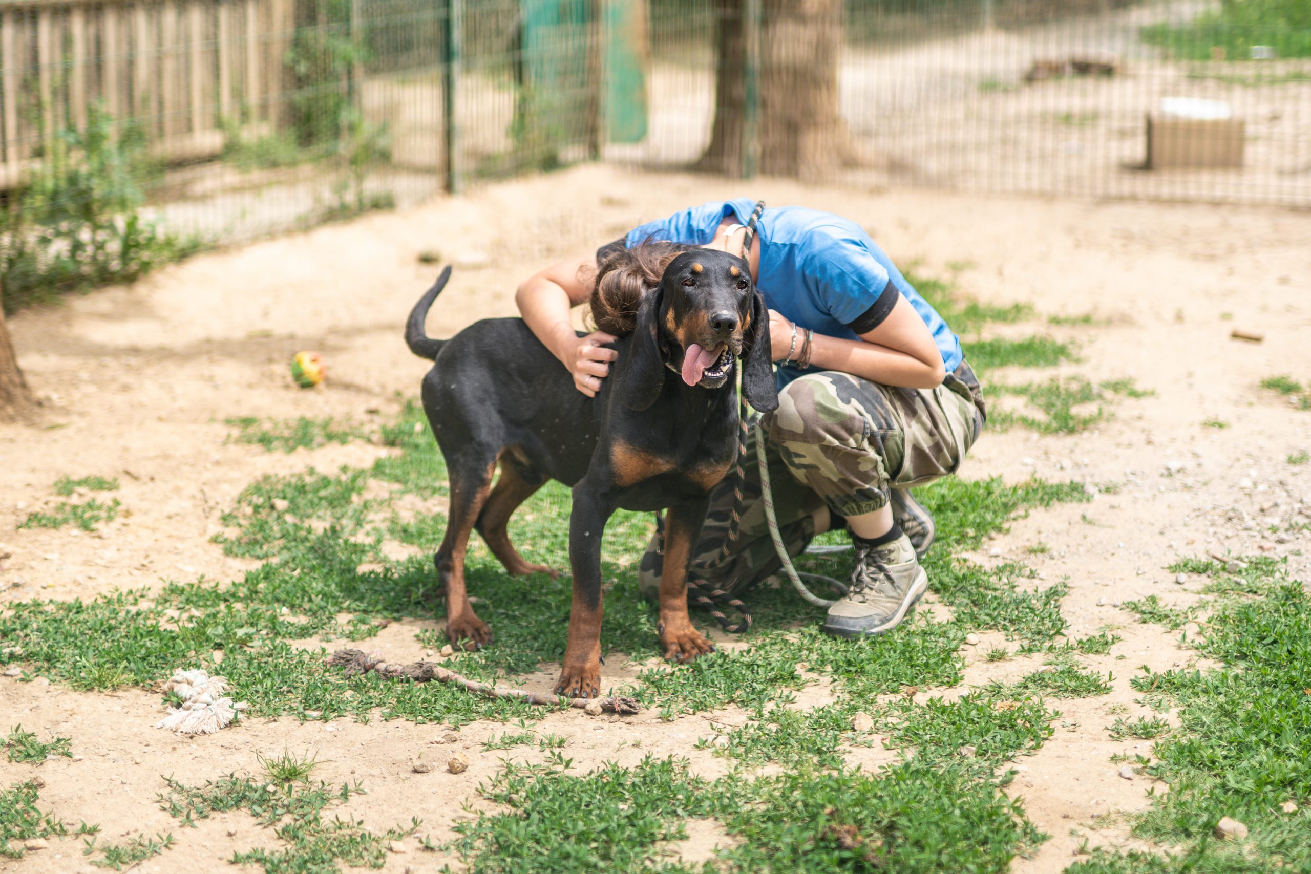 Lire la suite à propos de l’article Bien accueillir un chien de la SCPA