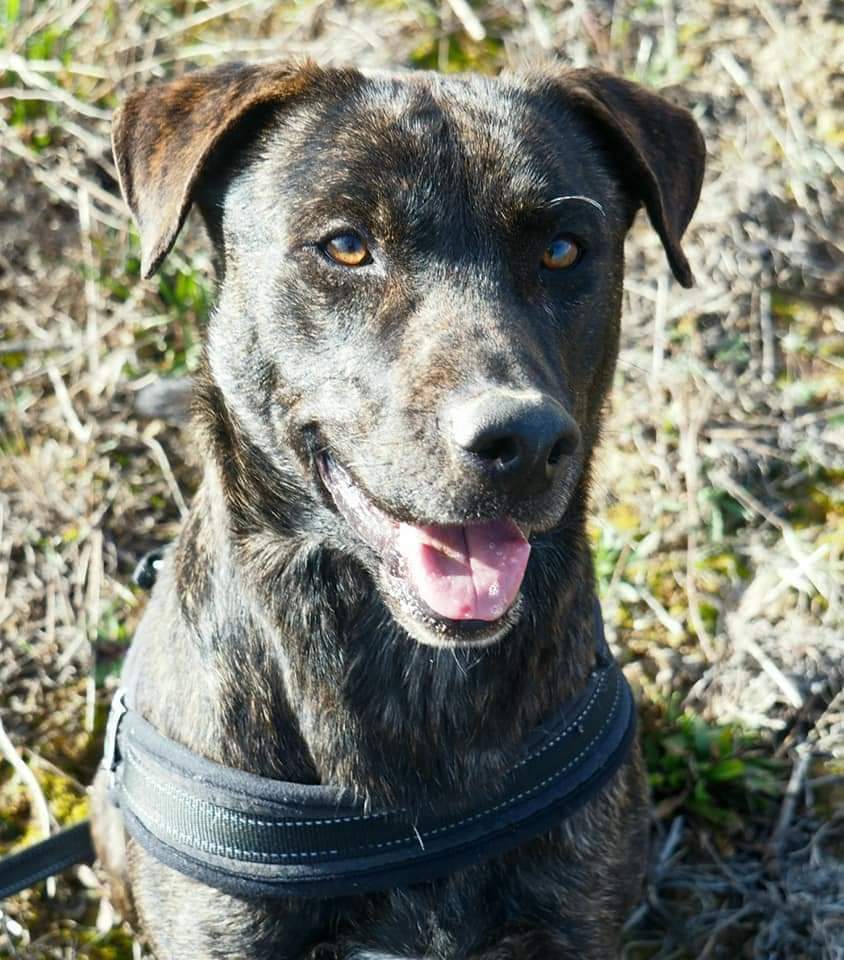 DIEGO