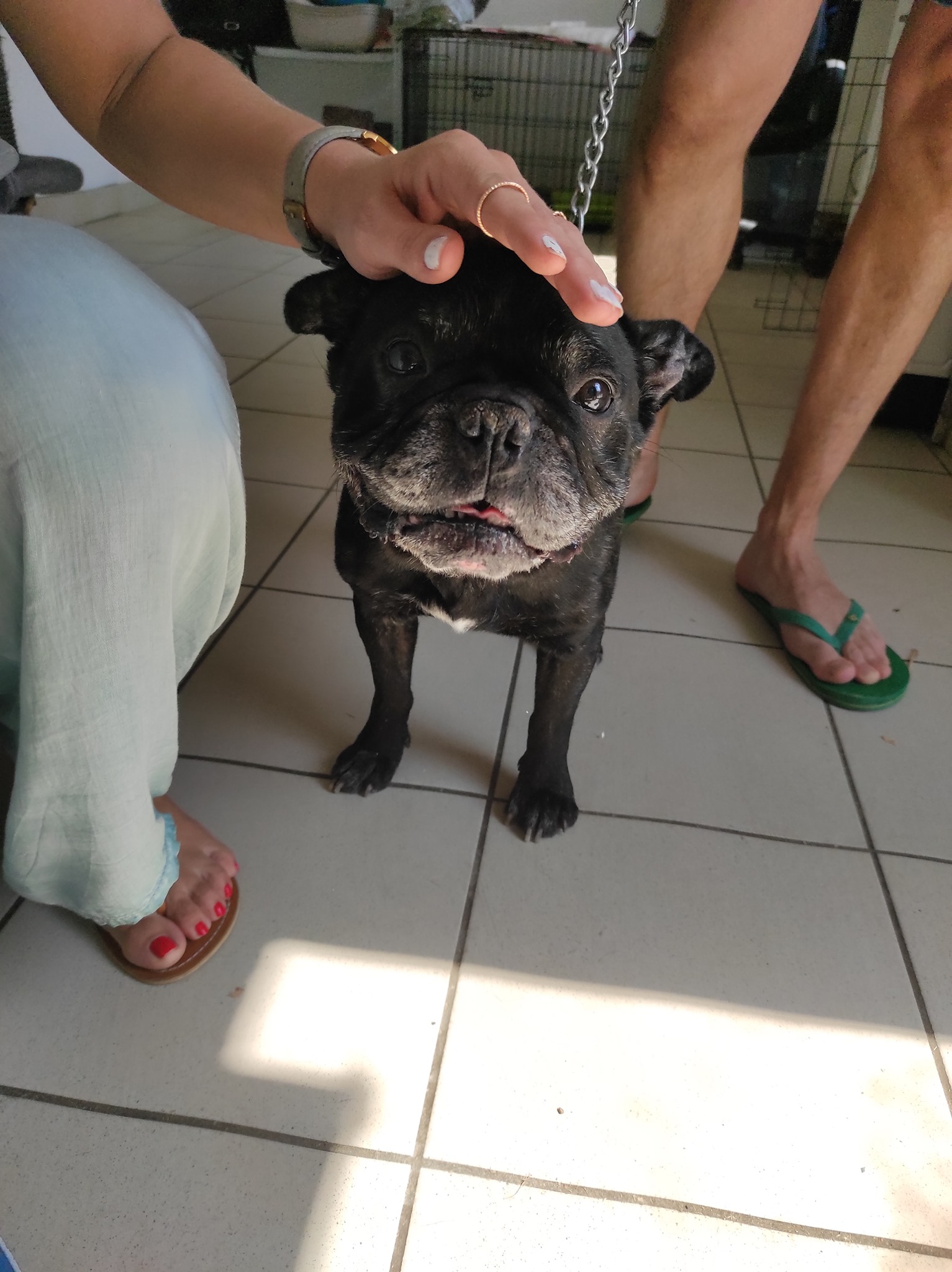 HECTOR2