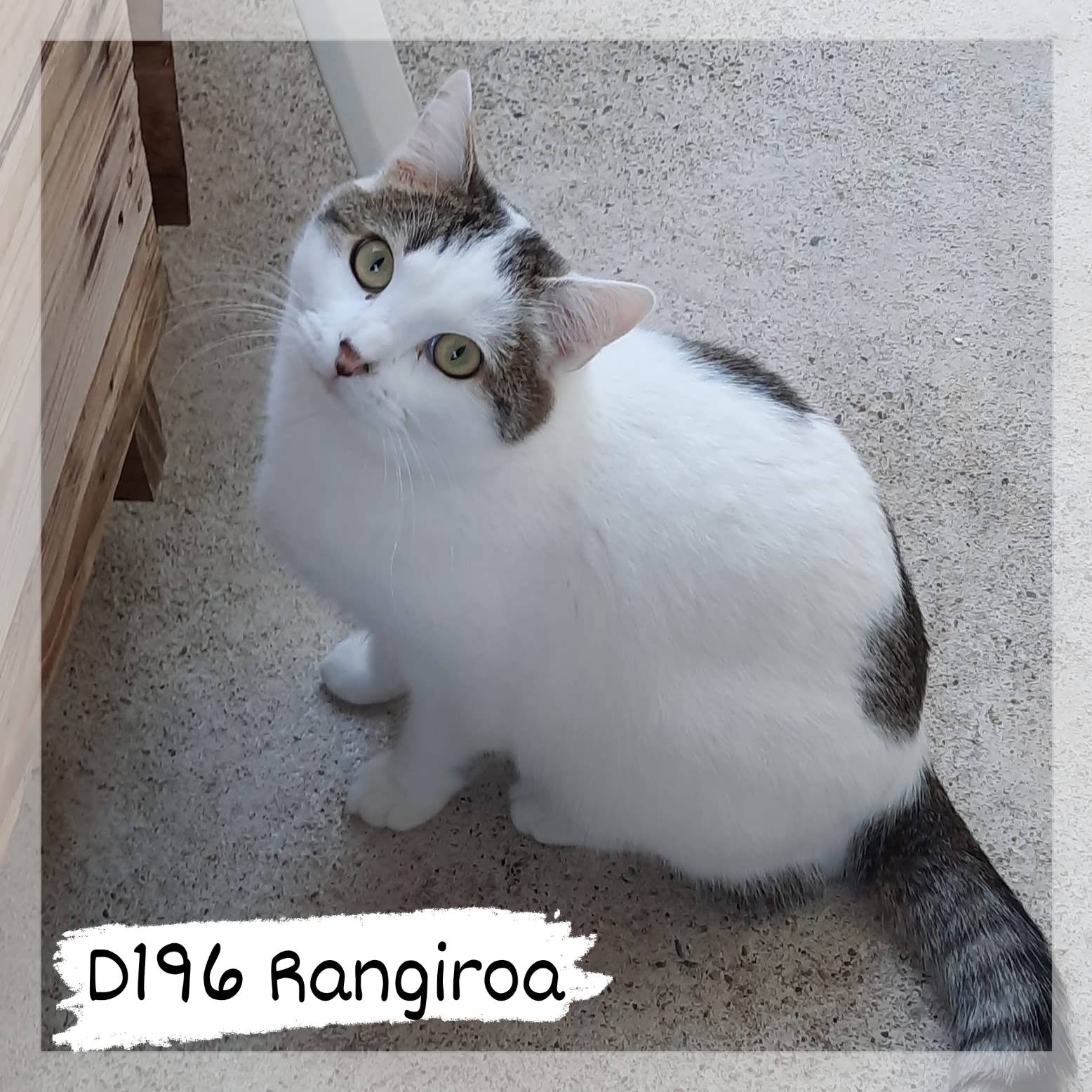 Lire la suite à propos de l’article Rangiroa