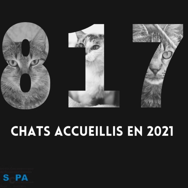 Bilan de l’année 2021