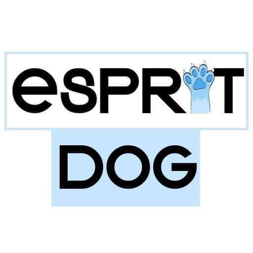 Lire la suite à propos de l’article Découvrez Esprit Dog et bénéficiez d’un code promo !