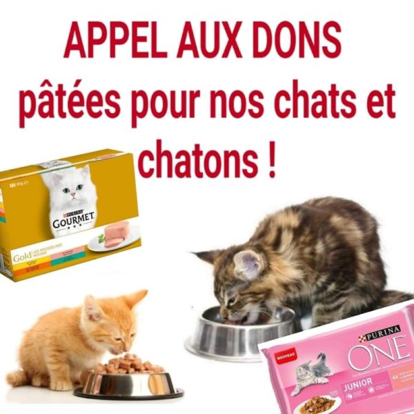 Nous avons besoin de pâtées pour nos chats!