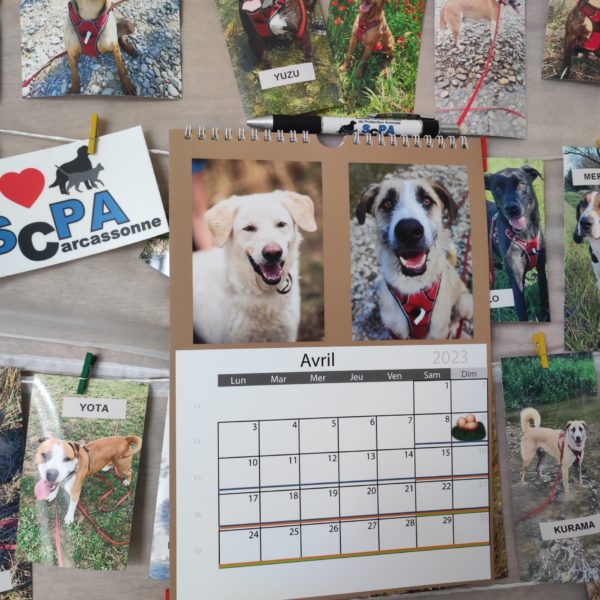 Les Calendriers SCPA
