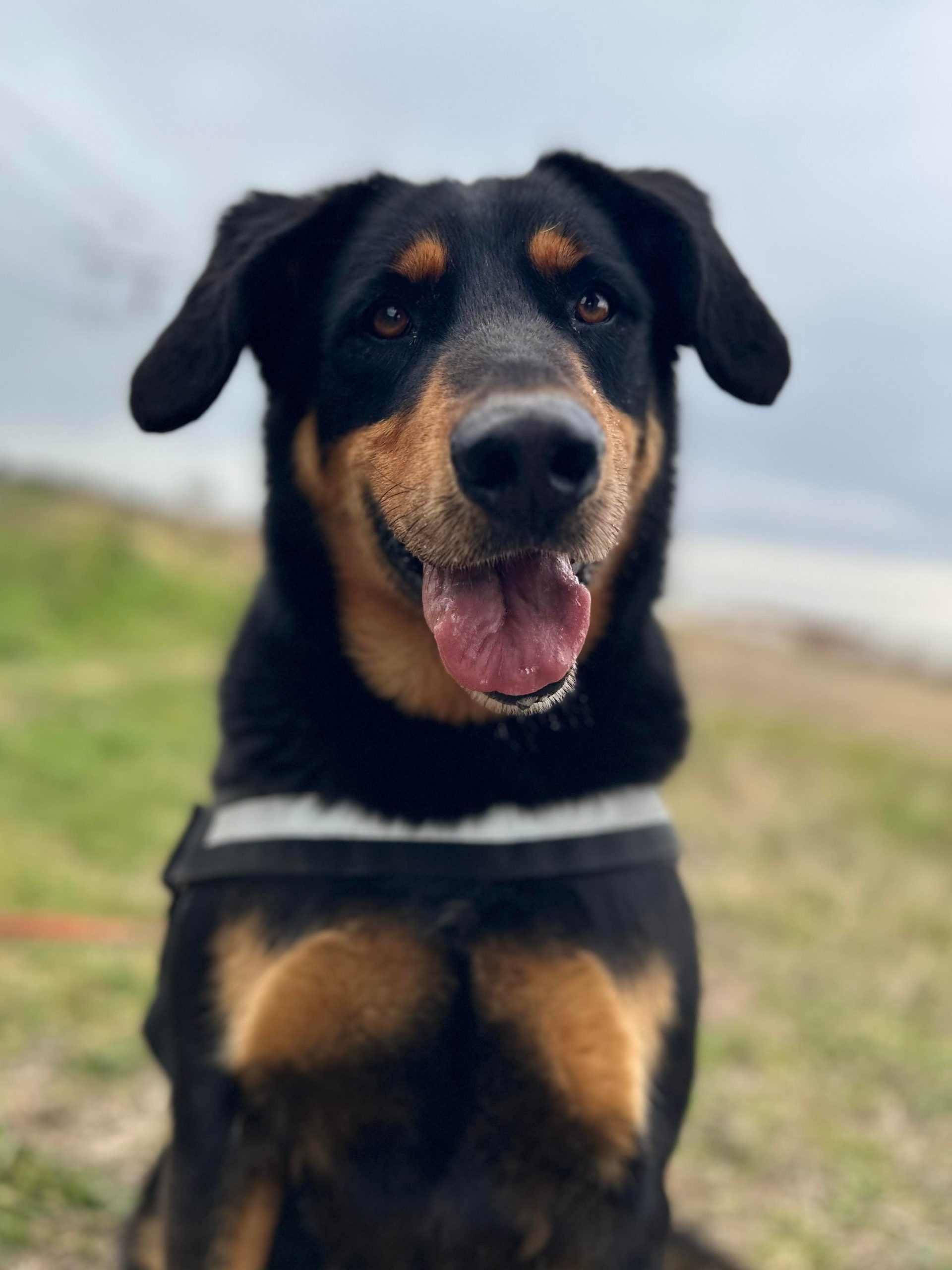 sam4