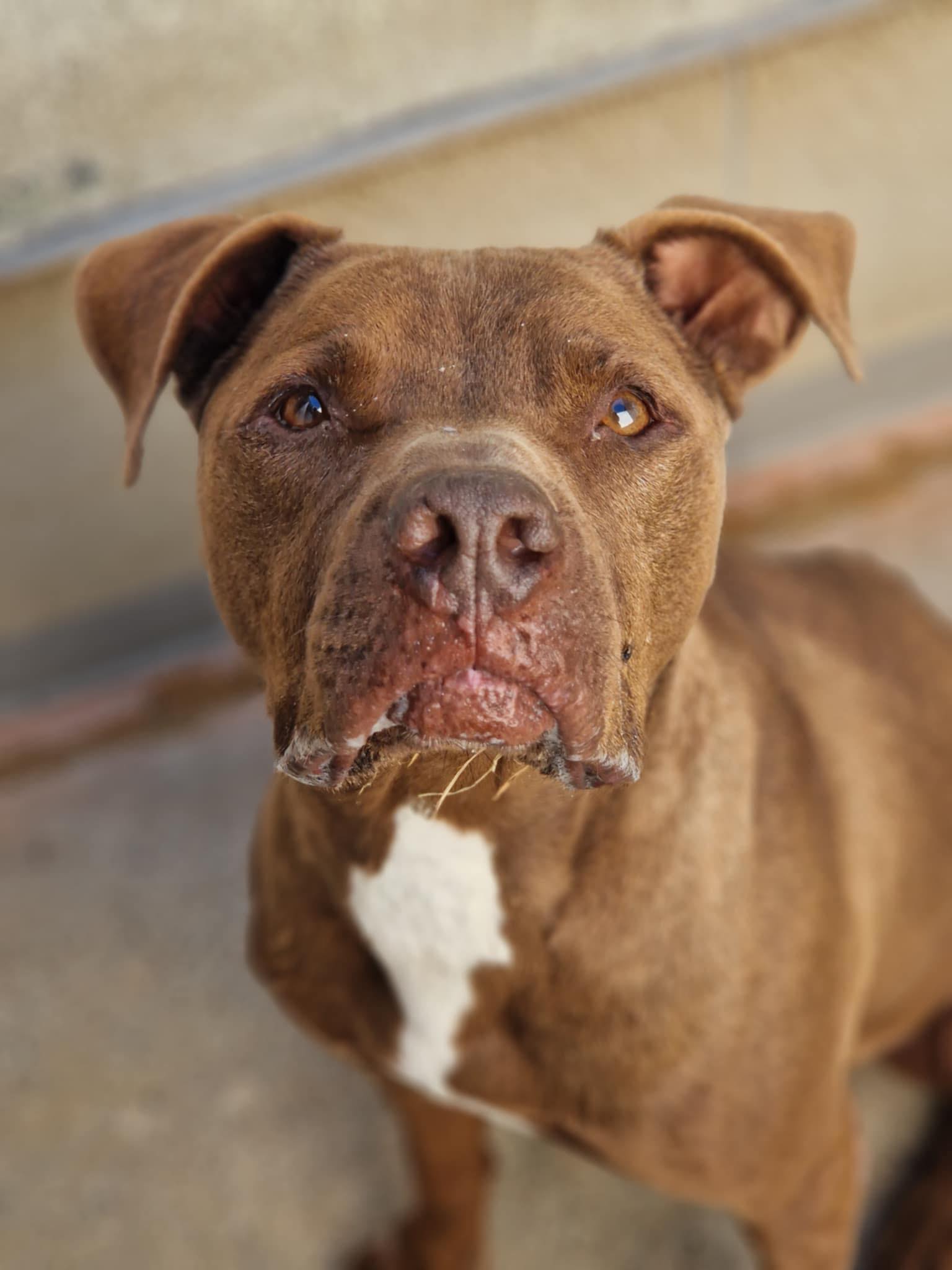 564573771_1222669629886743_7900403743153559320_n