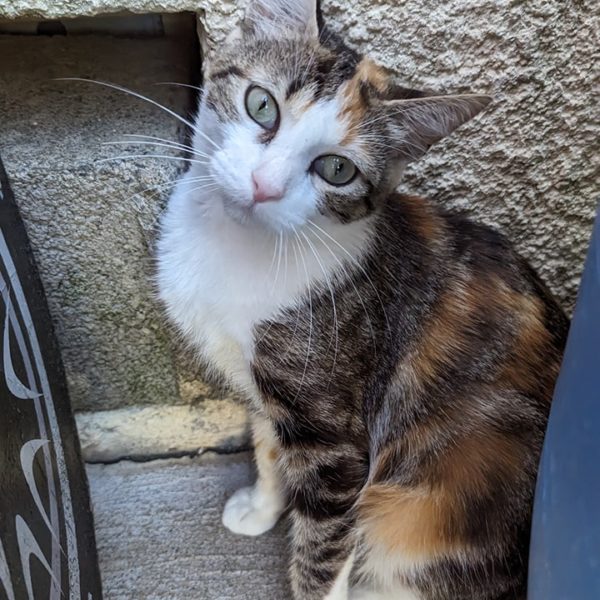 Lilou