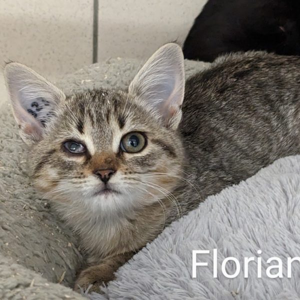 Floriane