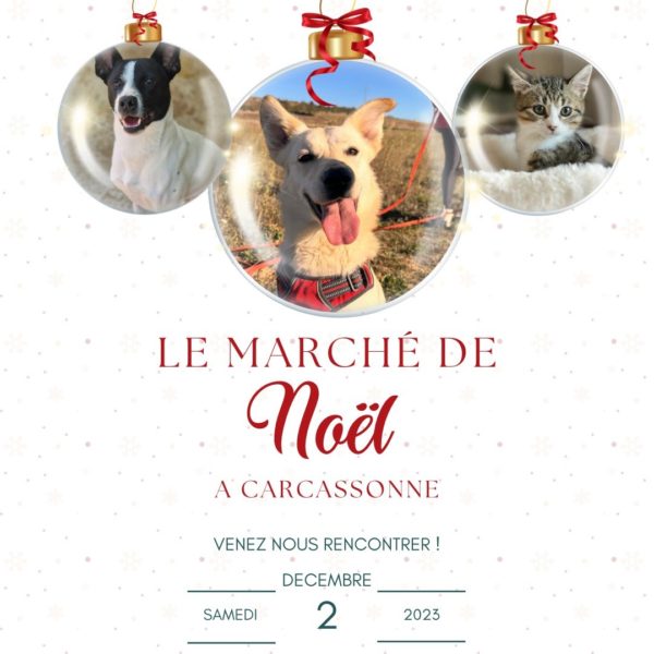 Le marché de Noel