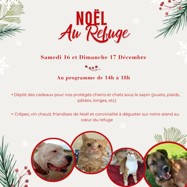 Noël au refuge