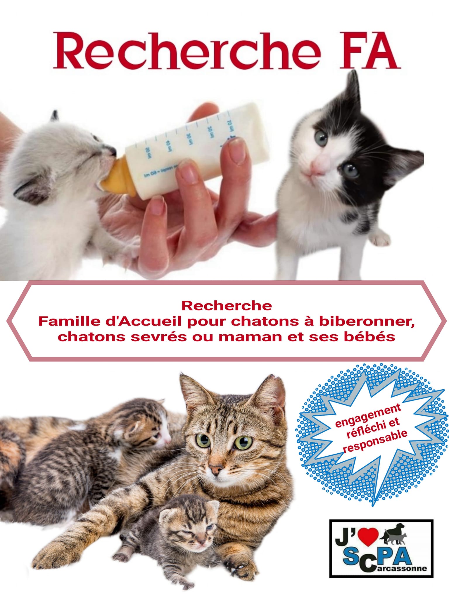 Lire la suite à propos de l’article Recherche familles d’accueil pour chatons ou chiots avec ou sans maman