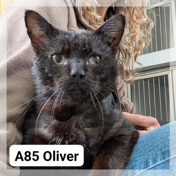 Oliver