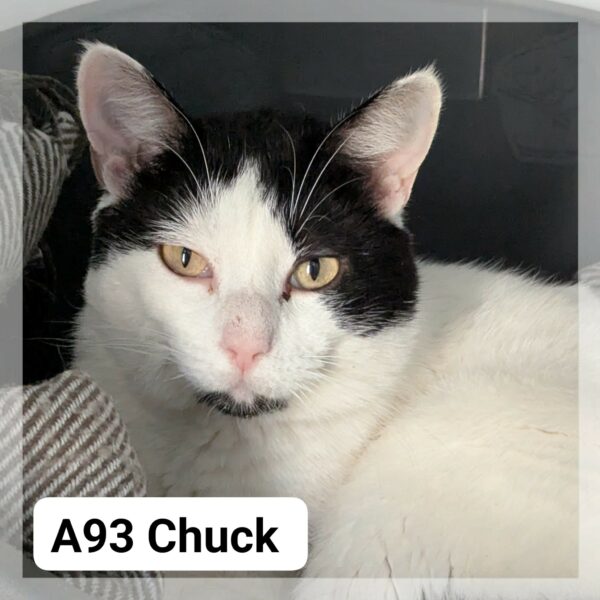 Chuck