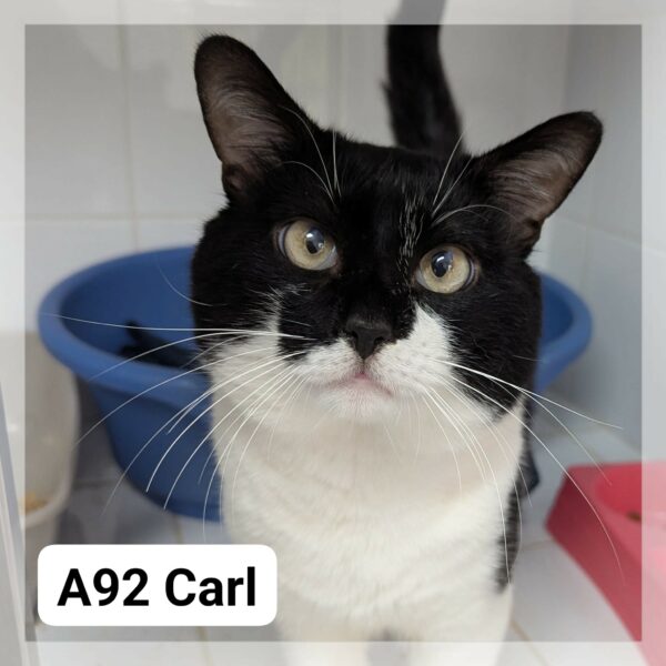 Carl