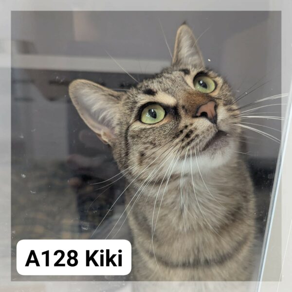 Kiki