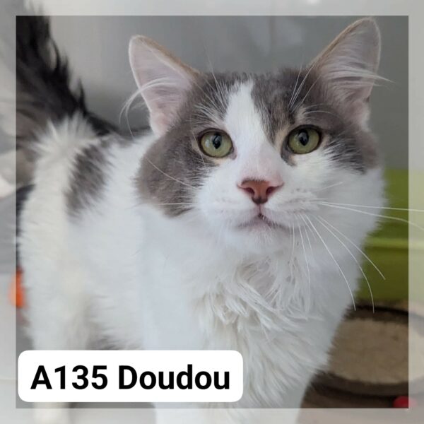 Doudou