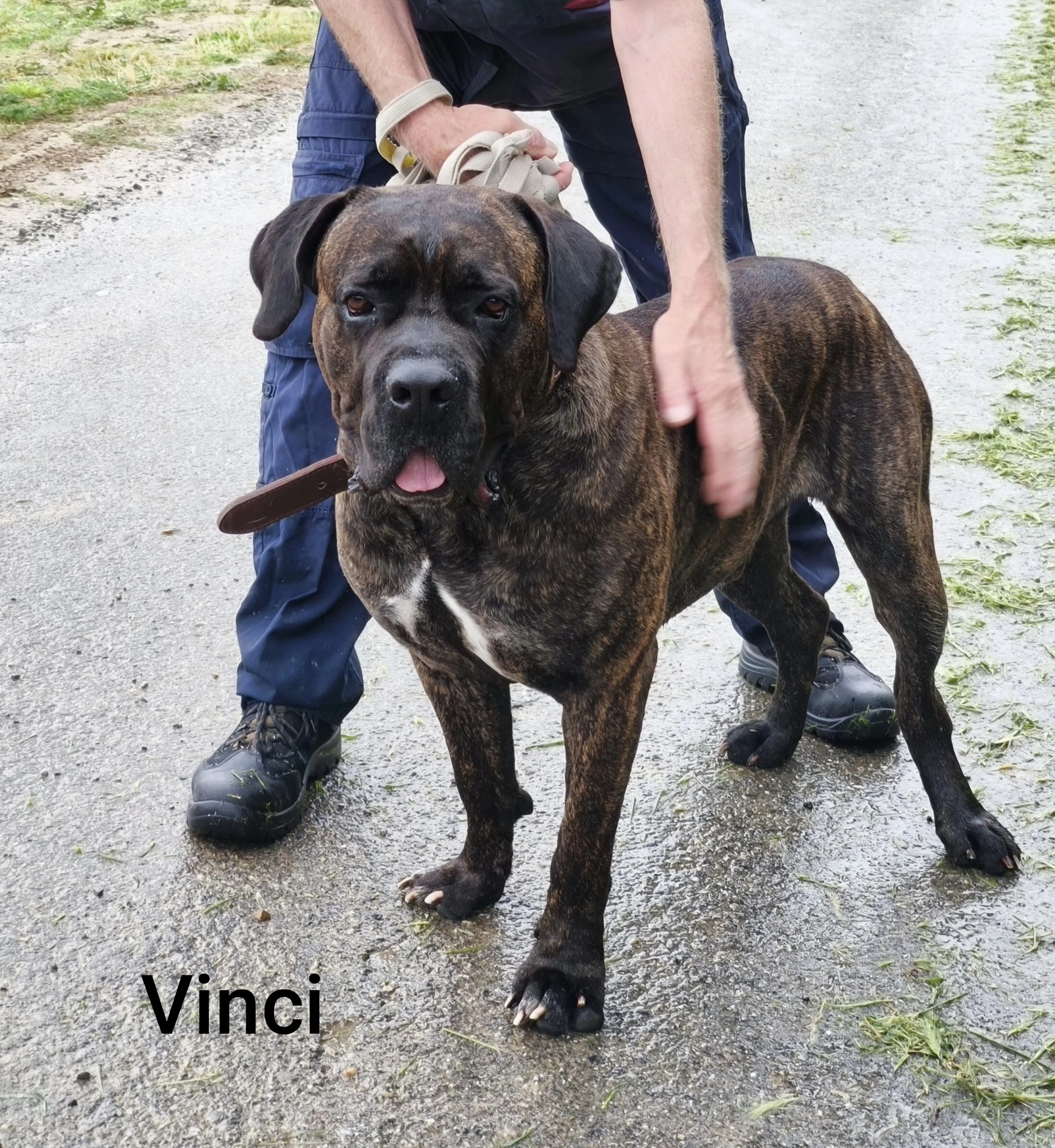 Lire la suite à propos de l’article Vinci