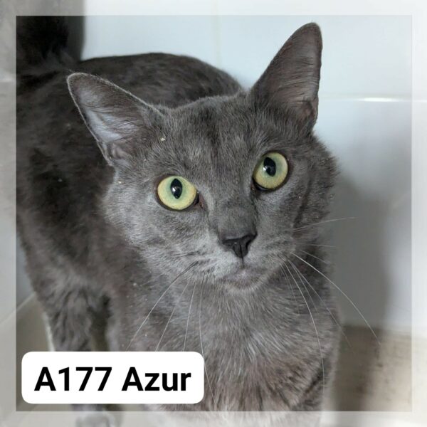 Azur