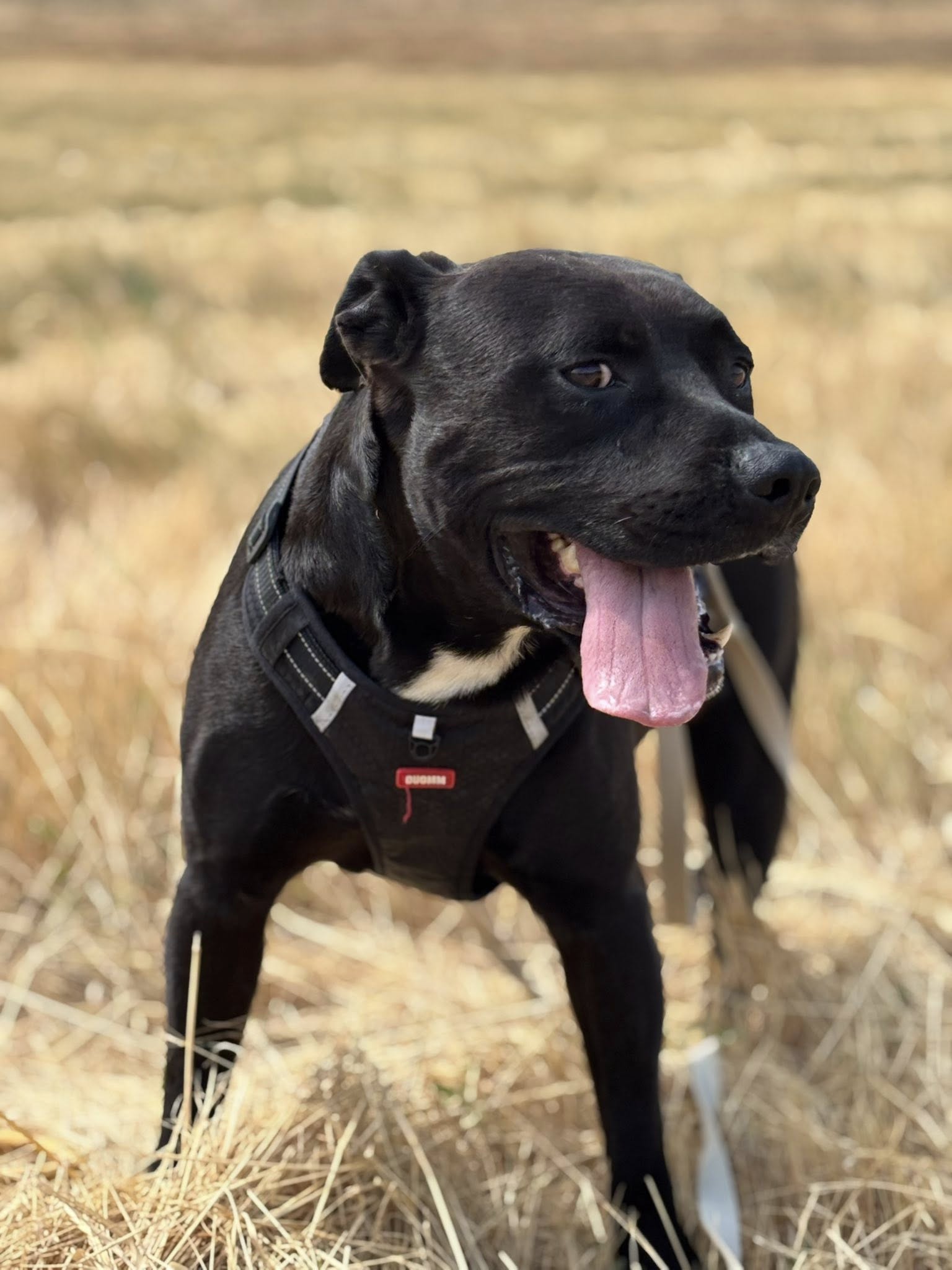 Lire la suite à propos de l’article Zion