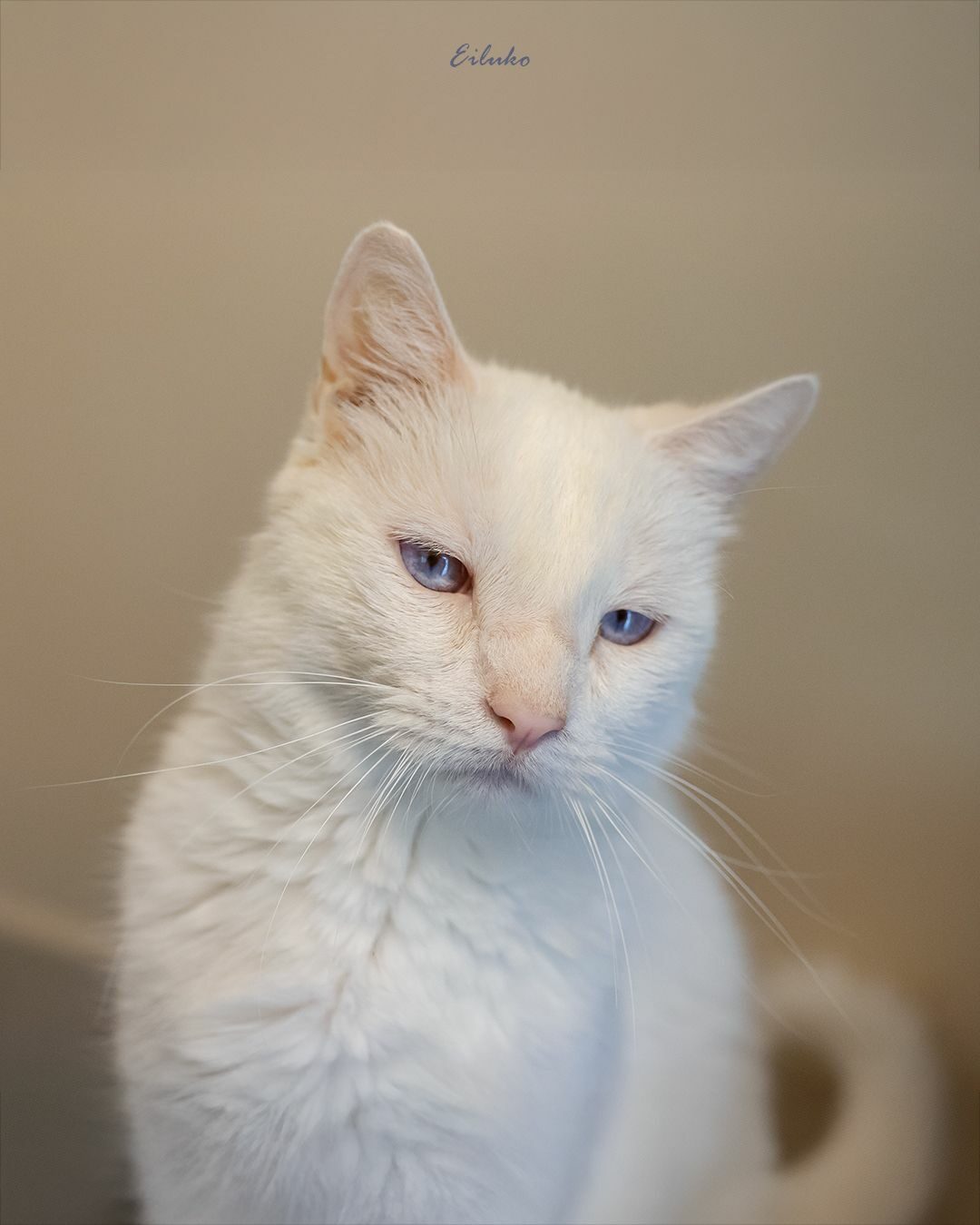 Lire la suite à propos de l’article Bounty