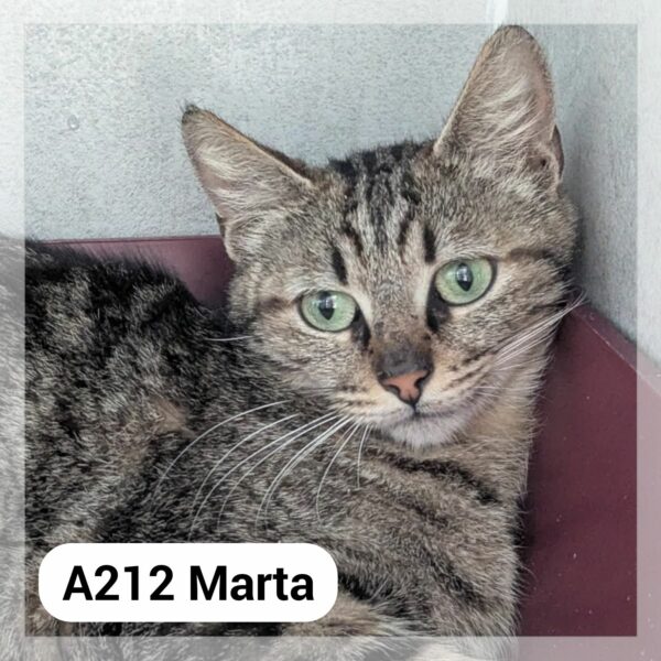 Marta