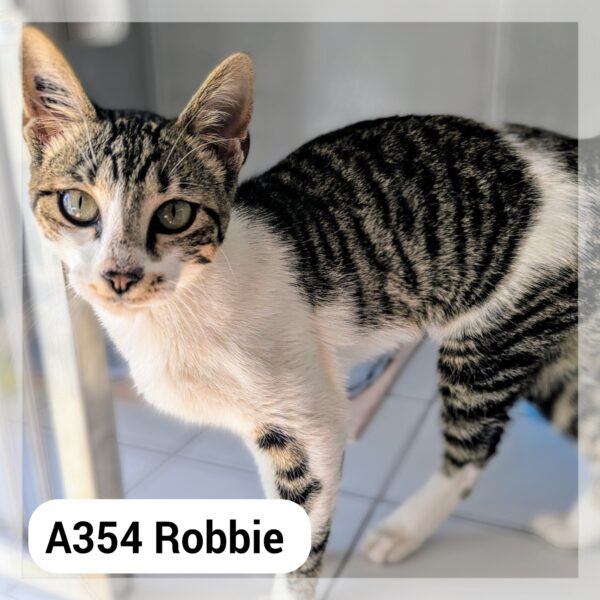 Robbie 8 Mois
