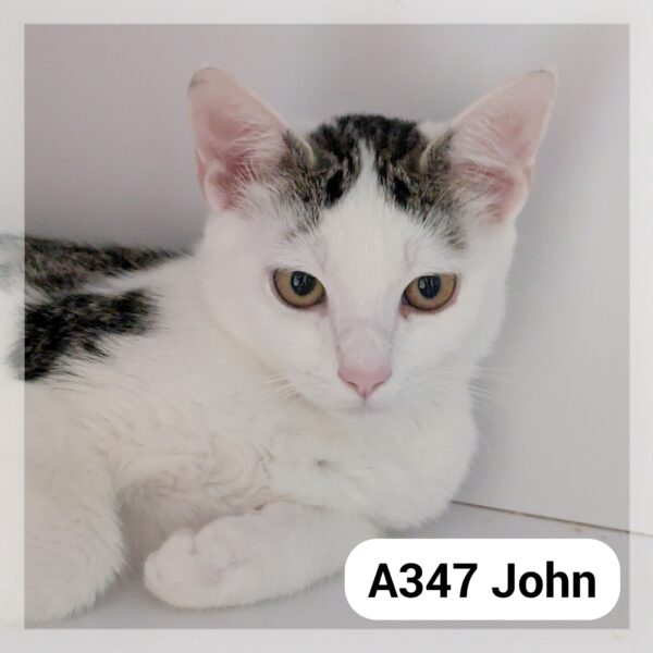 John chaton