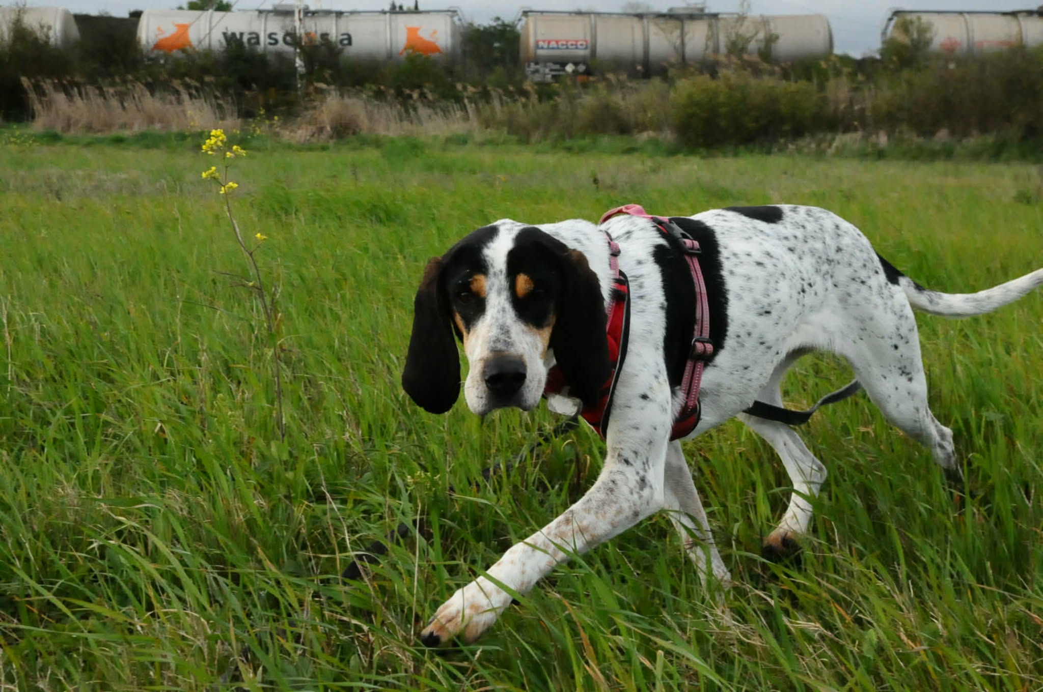 3ee993a8-086c-4ad6-8027-3af68df23e6b