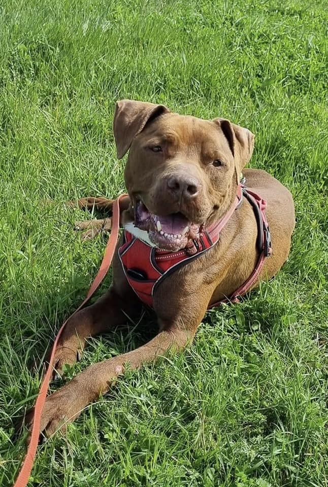 484072319_1054183800068661_1366802687161942272_n