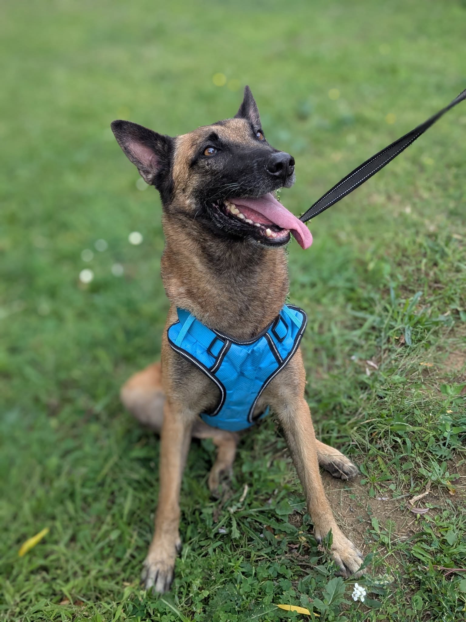 552842383_2667719863569947_5252717989262231303_n