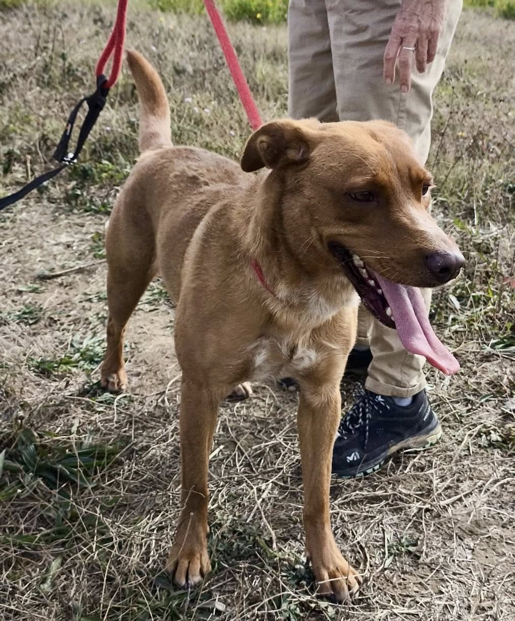 569302483_1231451415675231_3677320998389027925_n