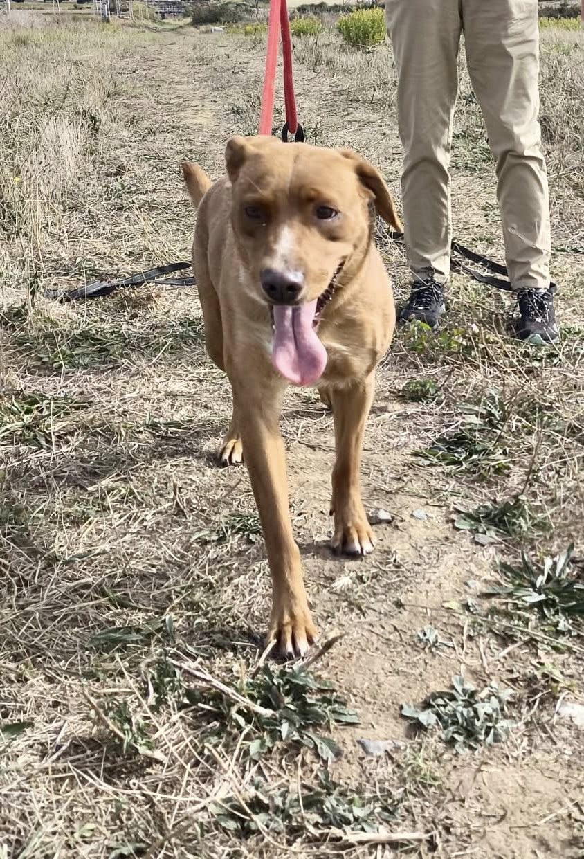 570041182_1231451395675233_8971840676263712167_n