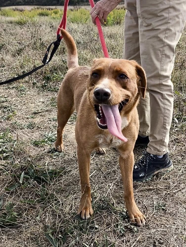 571437196_1231451389008567_3737988950727695801_n