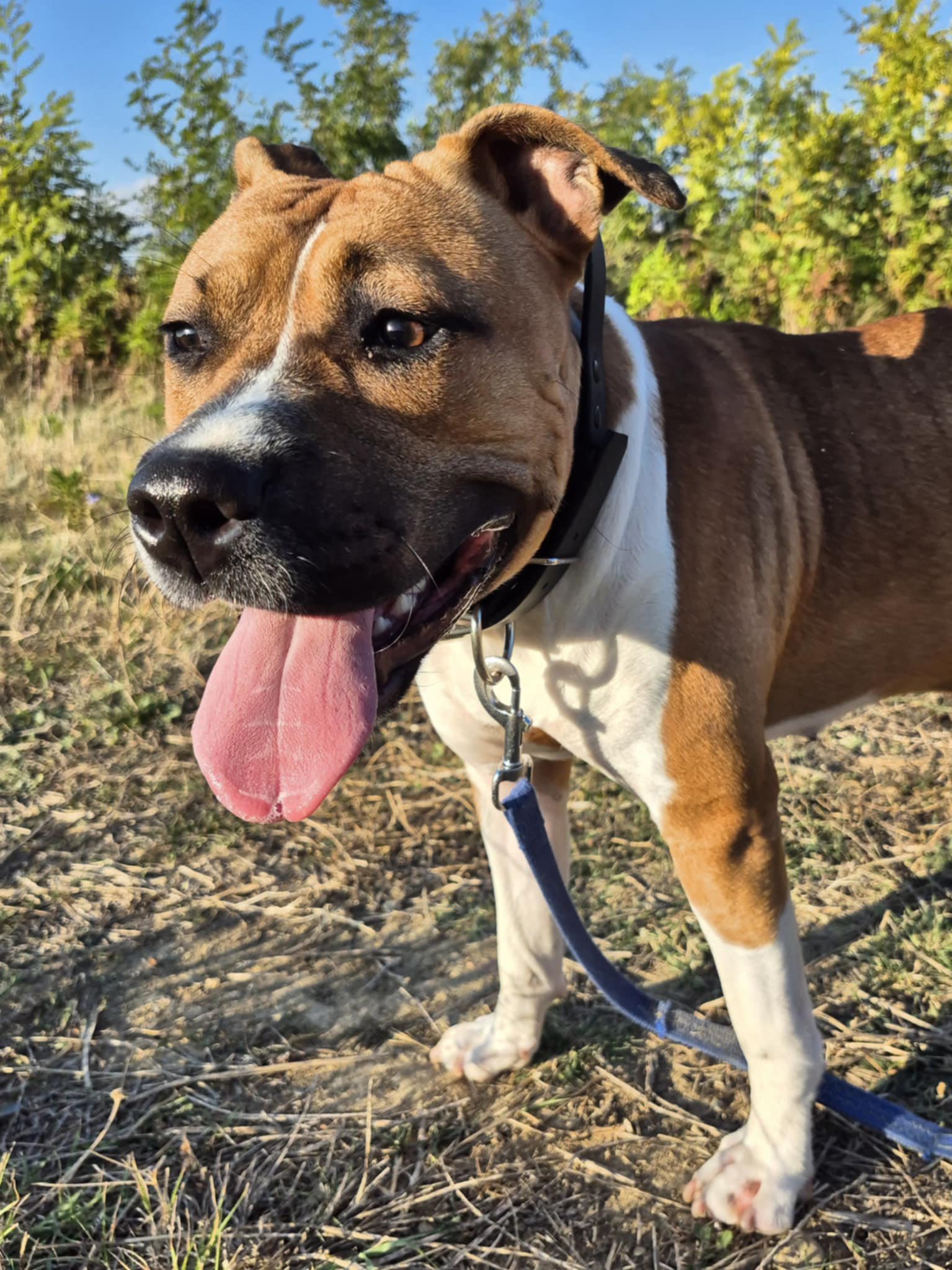 565747764_1226207049533001_914839091875139360_n