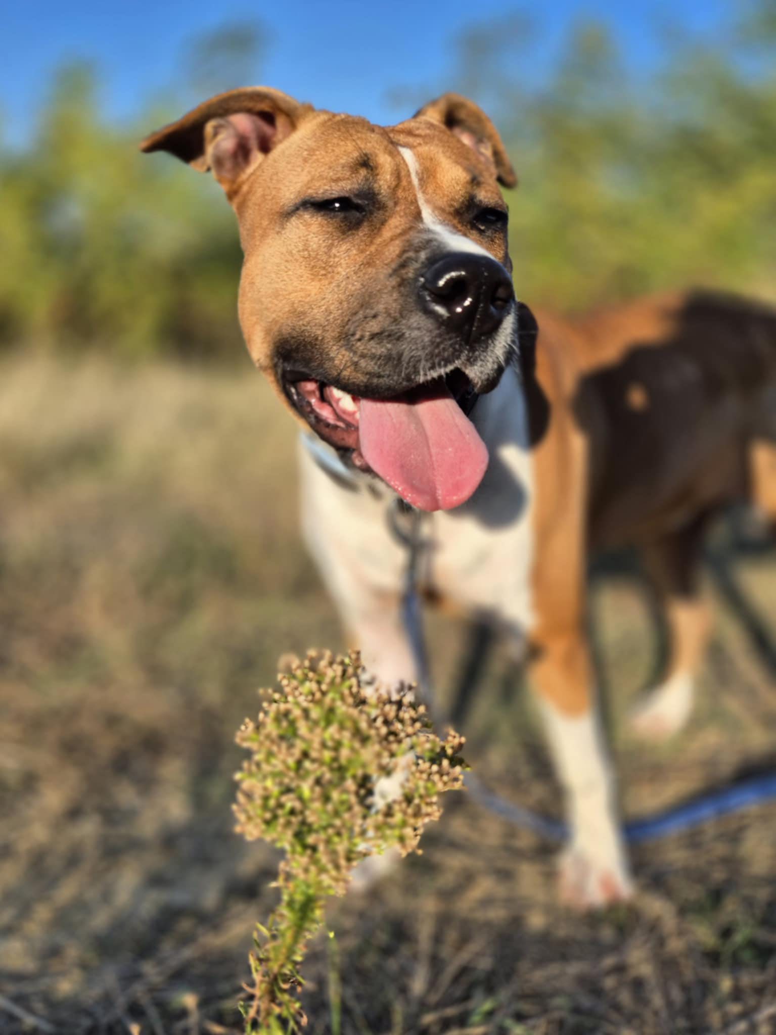 565755866_1226207116199661_5422711563251597840_n