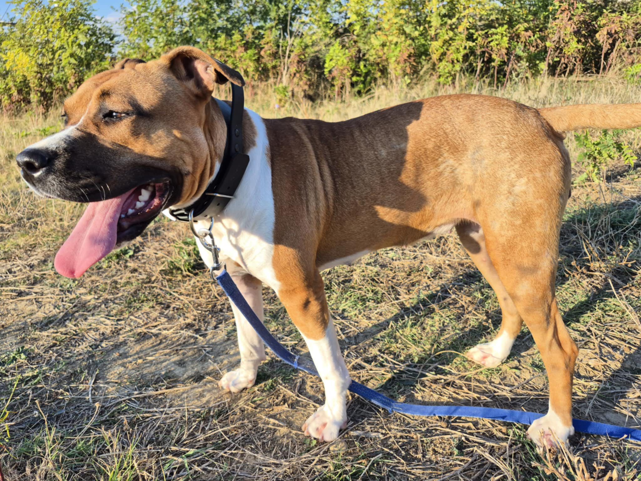 565802242_1226207109532995_2765254007496753832_n