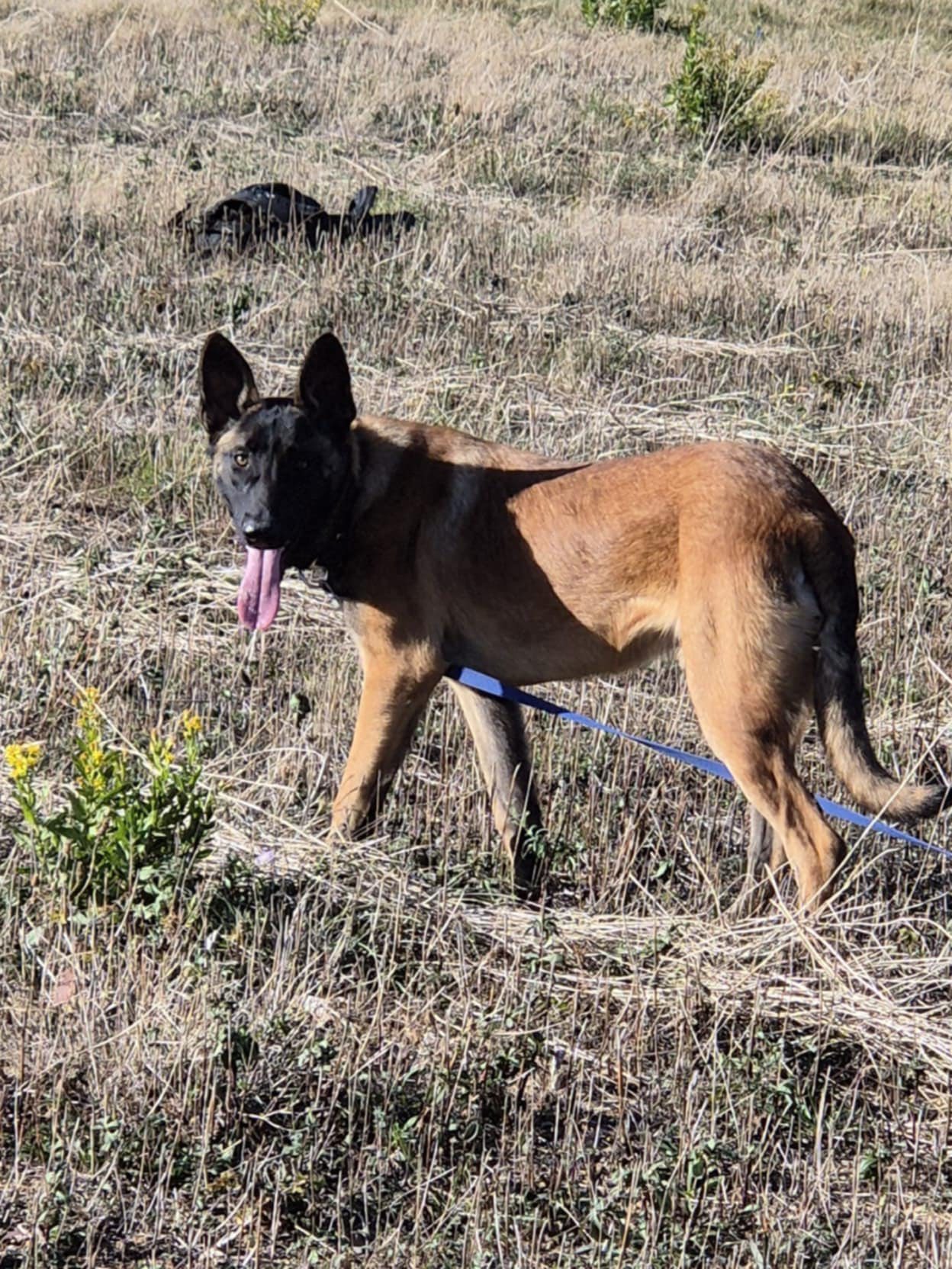 571263484_1233798015440571_388568538581912689_n