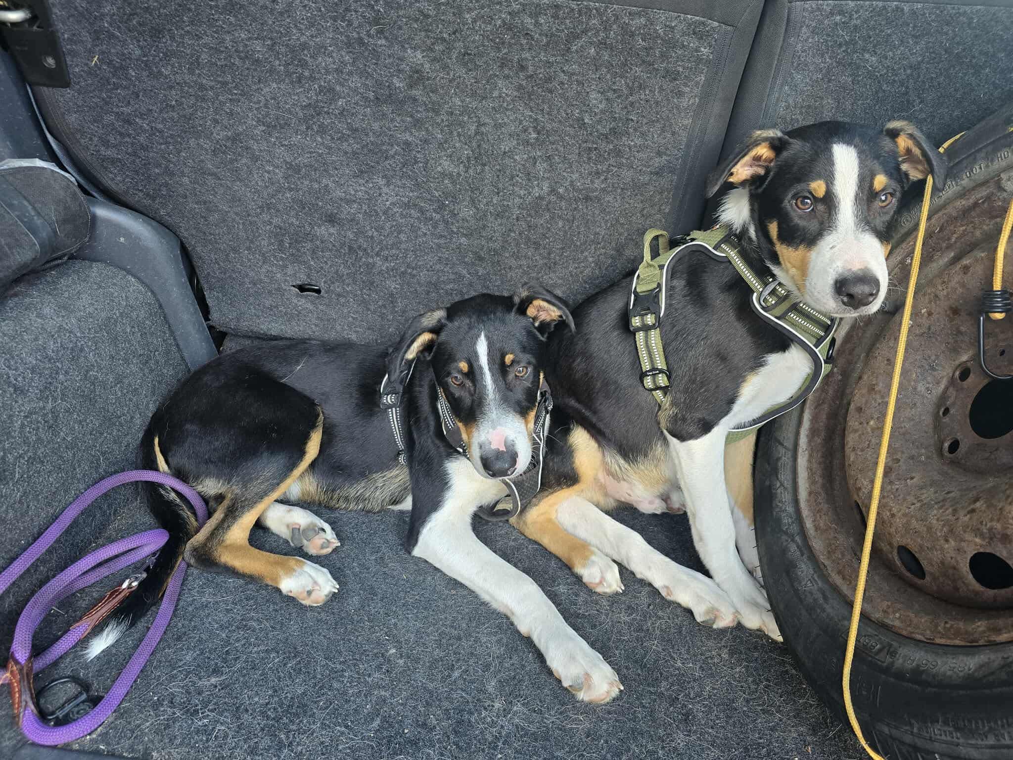 573348618_1238462248307481_7893442831090523769_n