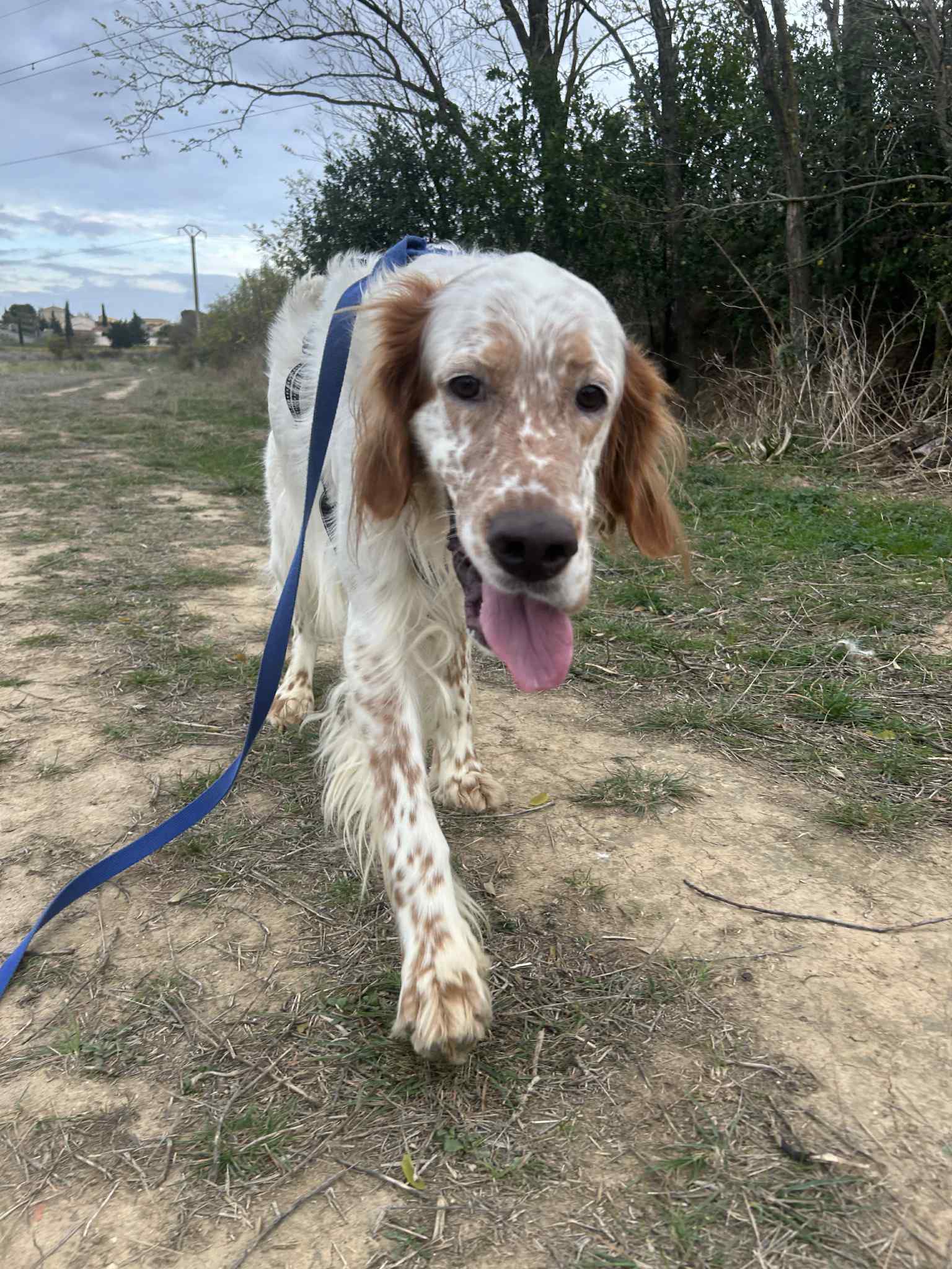 574270268_1240277598125946_7338226376918495188_n