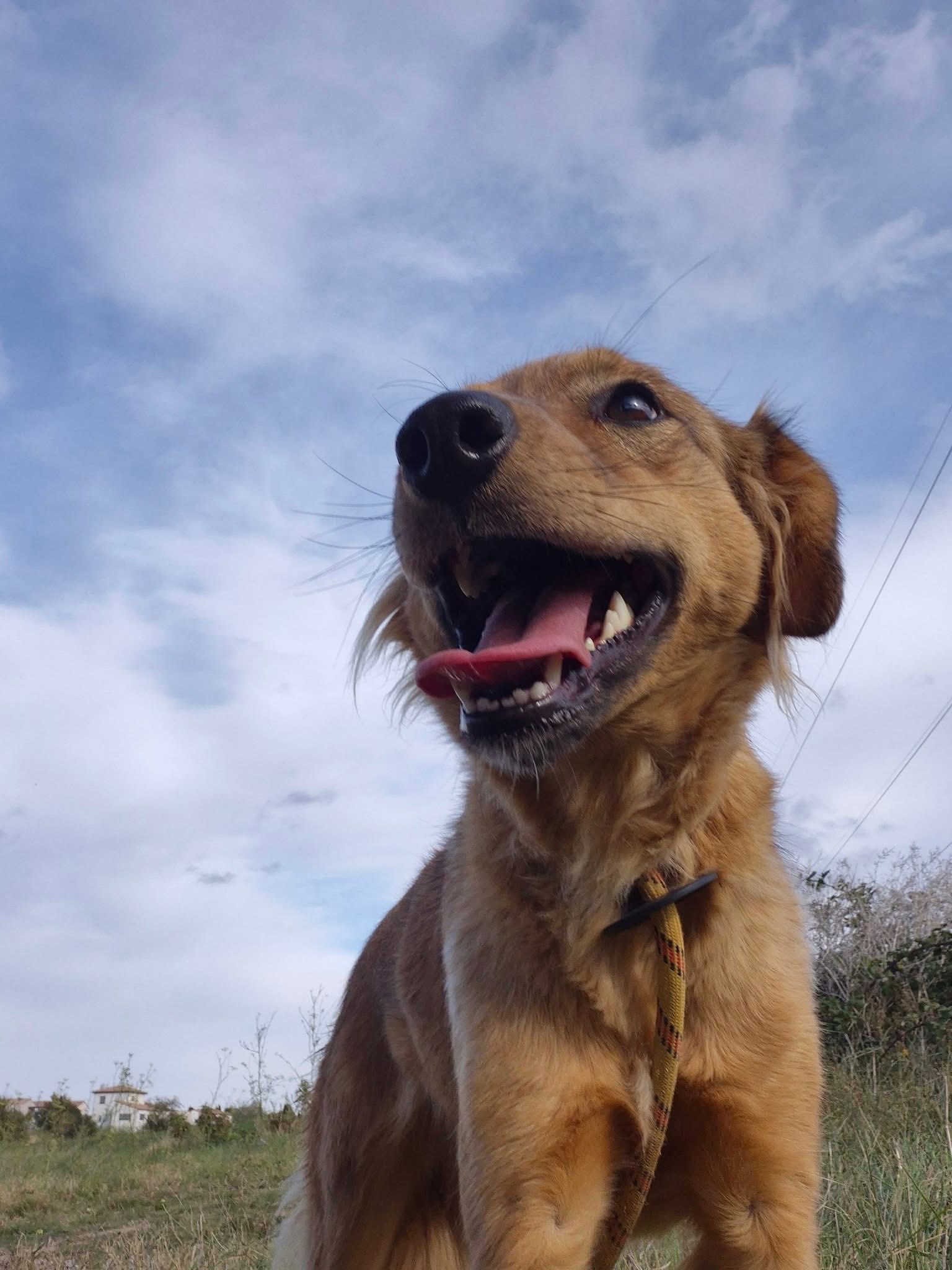 574350714_1241163574704015_3904525986904946343_n