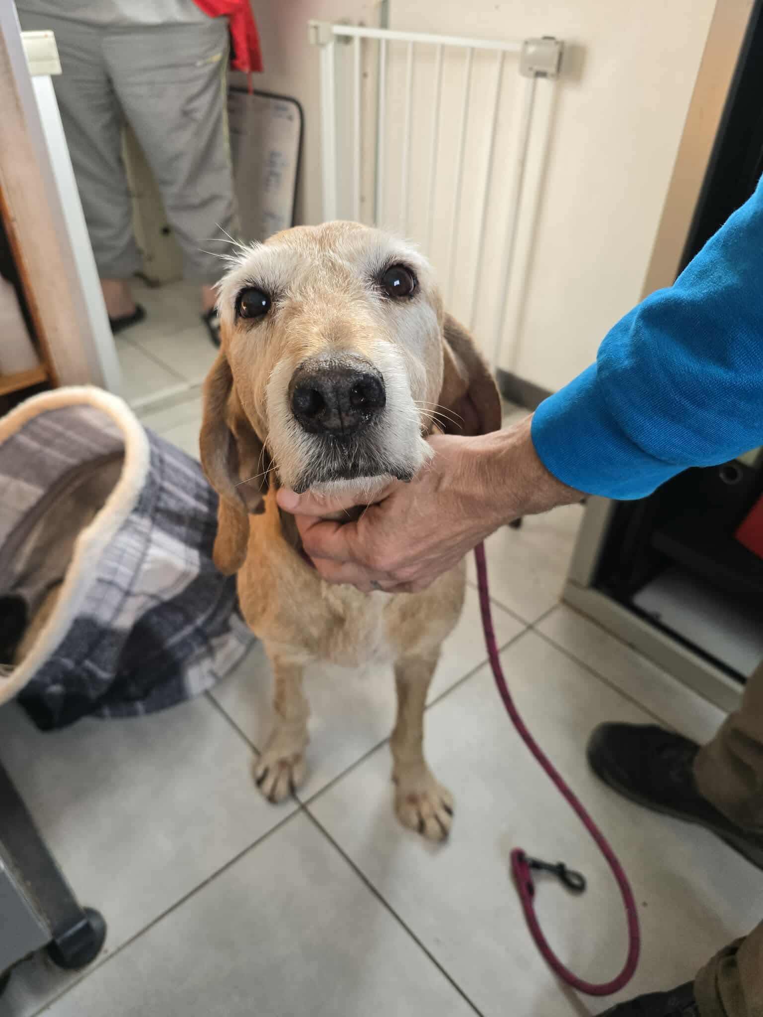 574572893_1241370744683298_7547011527801653634_n