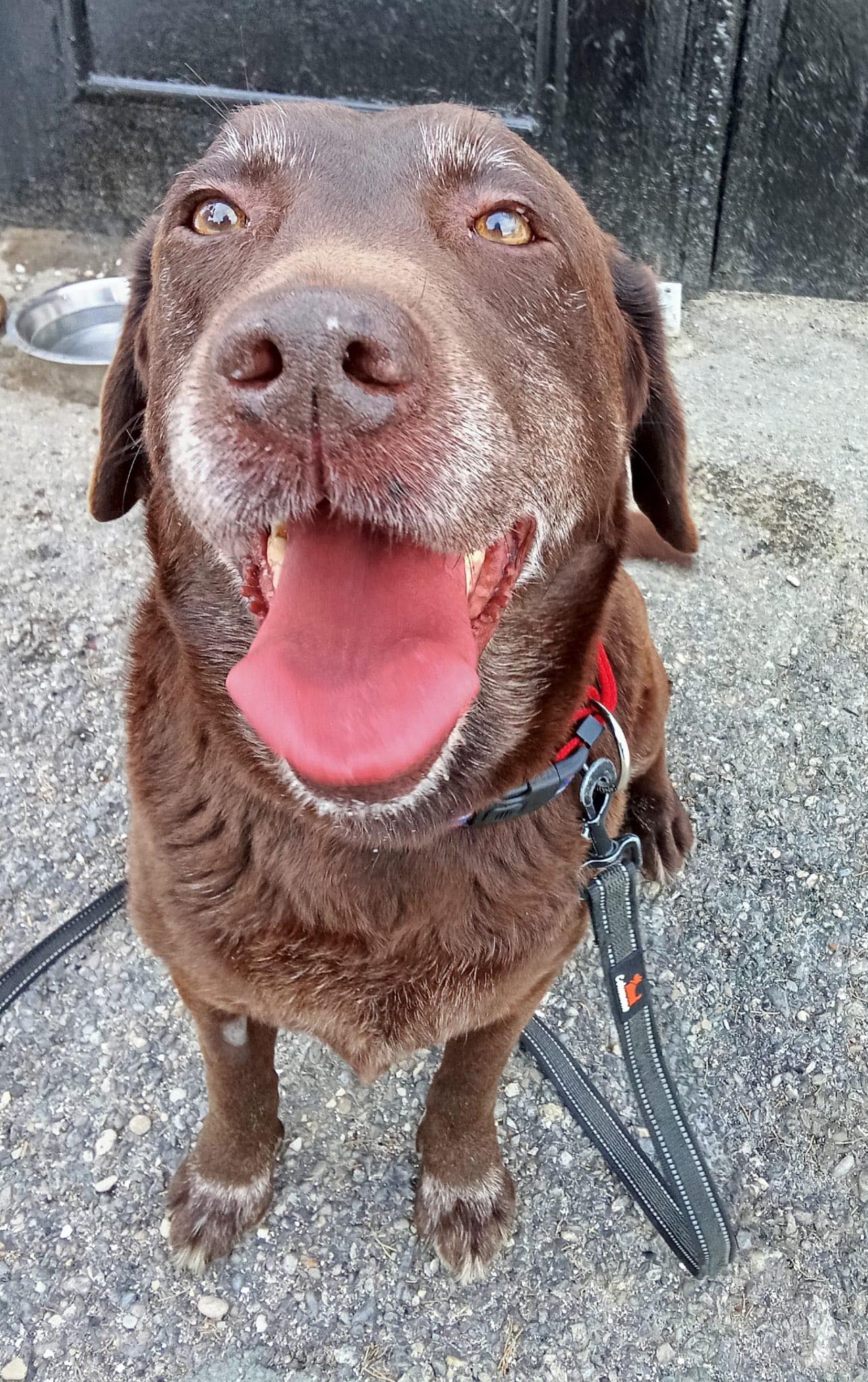 574576763_1237621305058242_1192241992727752028_n