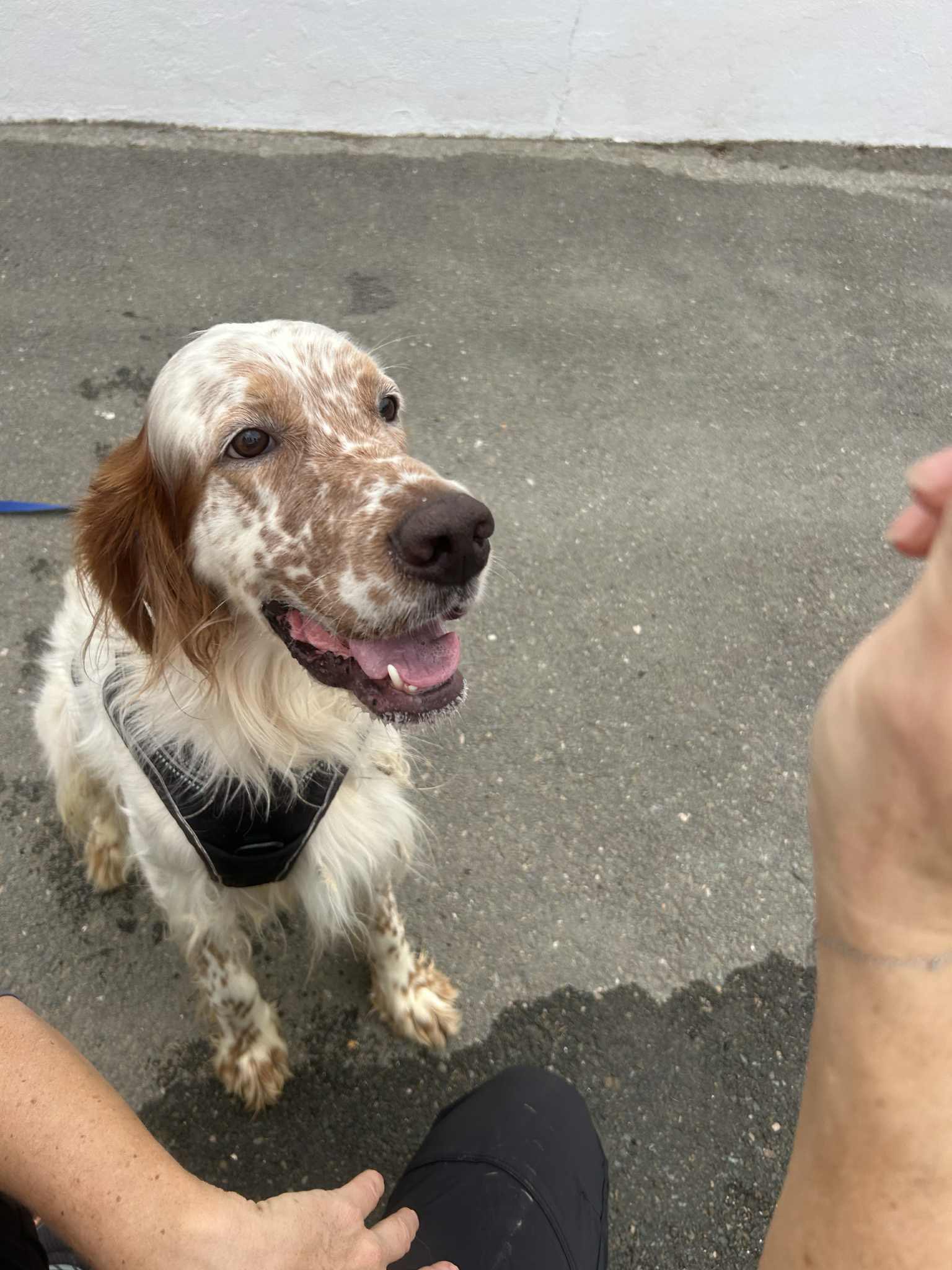 574578255_1240277661459273_5482984351416694979_n