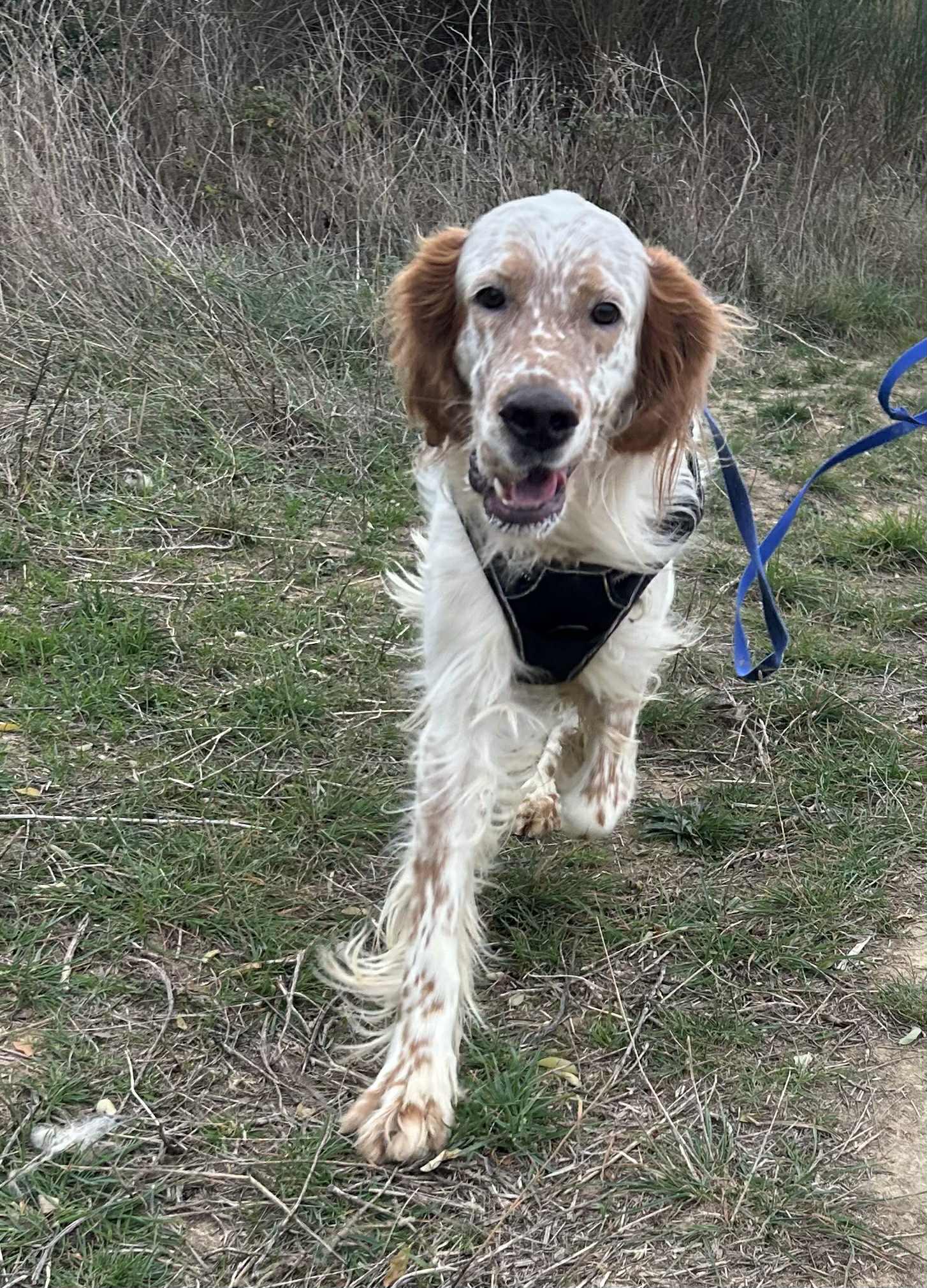 Lire la suite à propos de l’article Uno