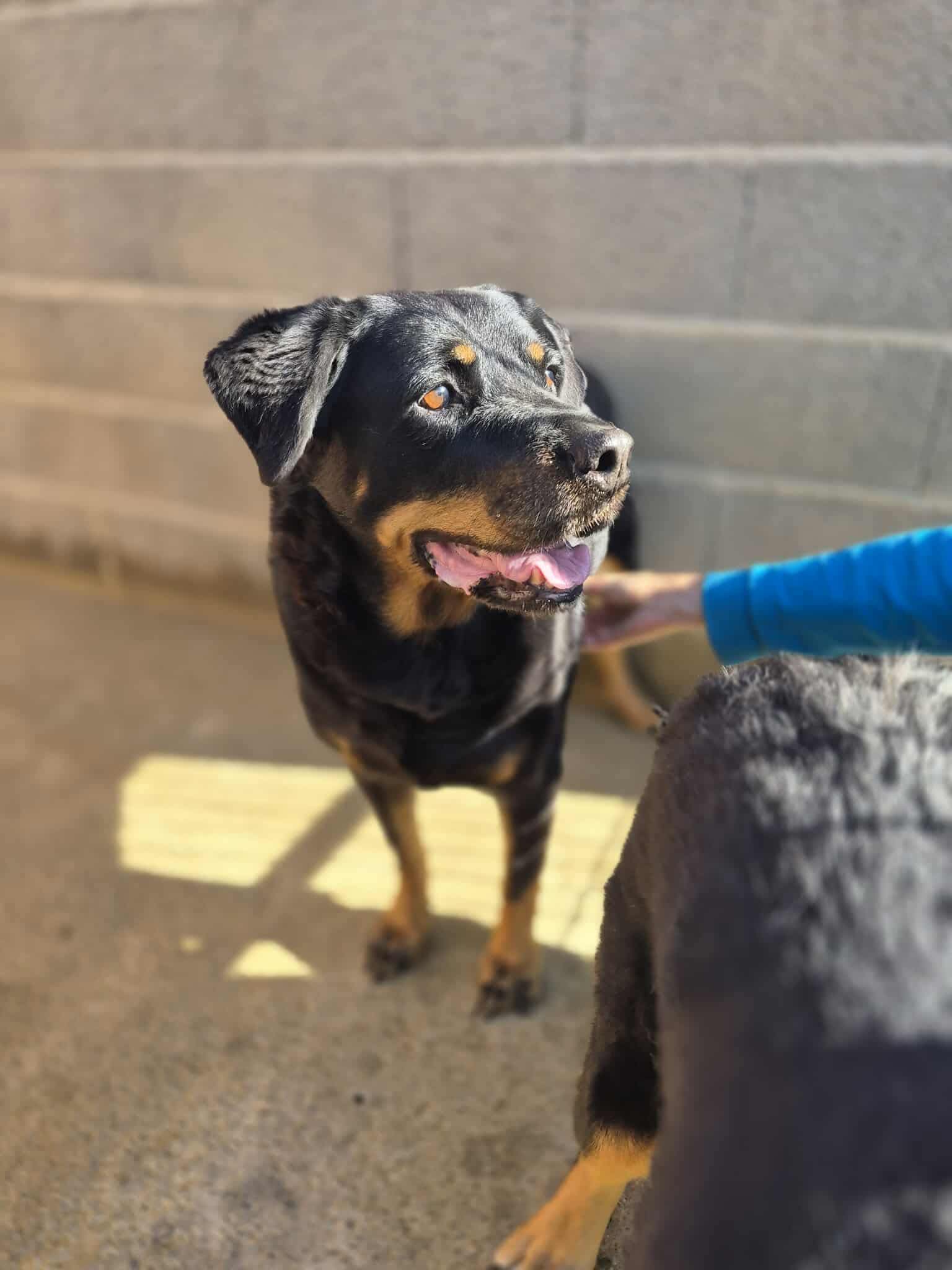 574582627_1242031331283906_7068685758034952695_n