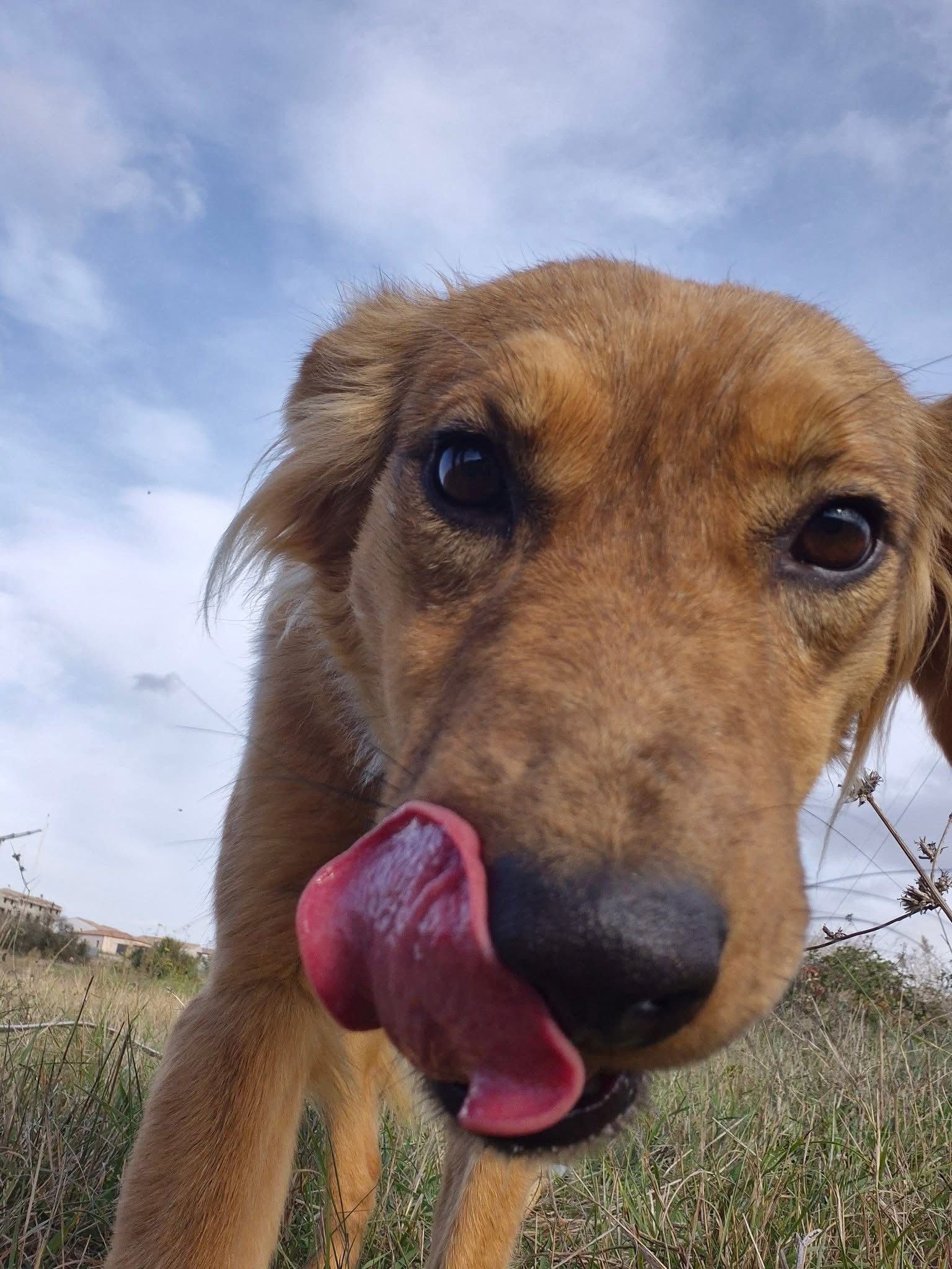 574601209_1241163581370681_7887556322636701856_n