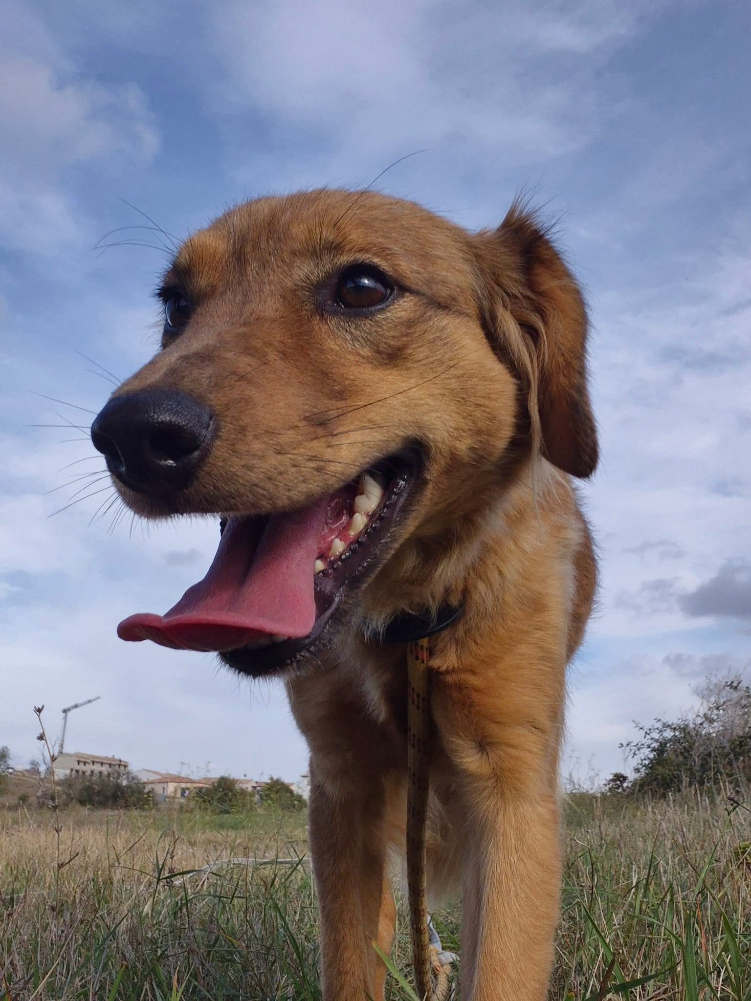 574998328_1241163608037345_4320769526501130126_n