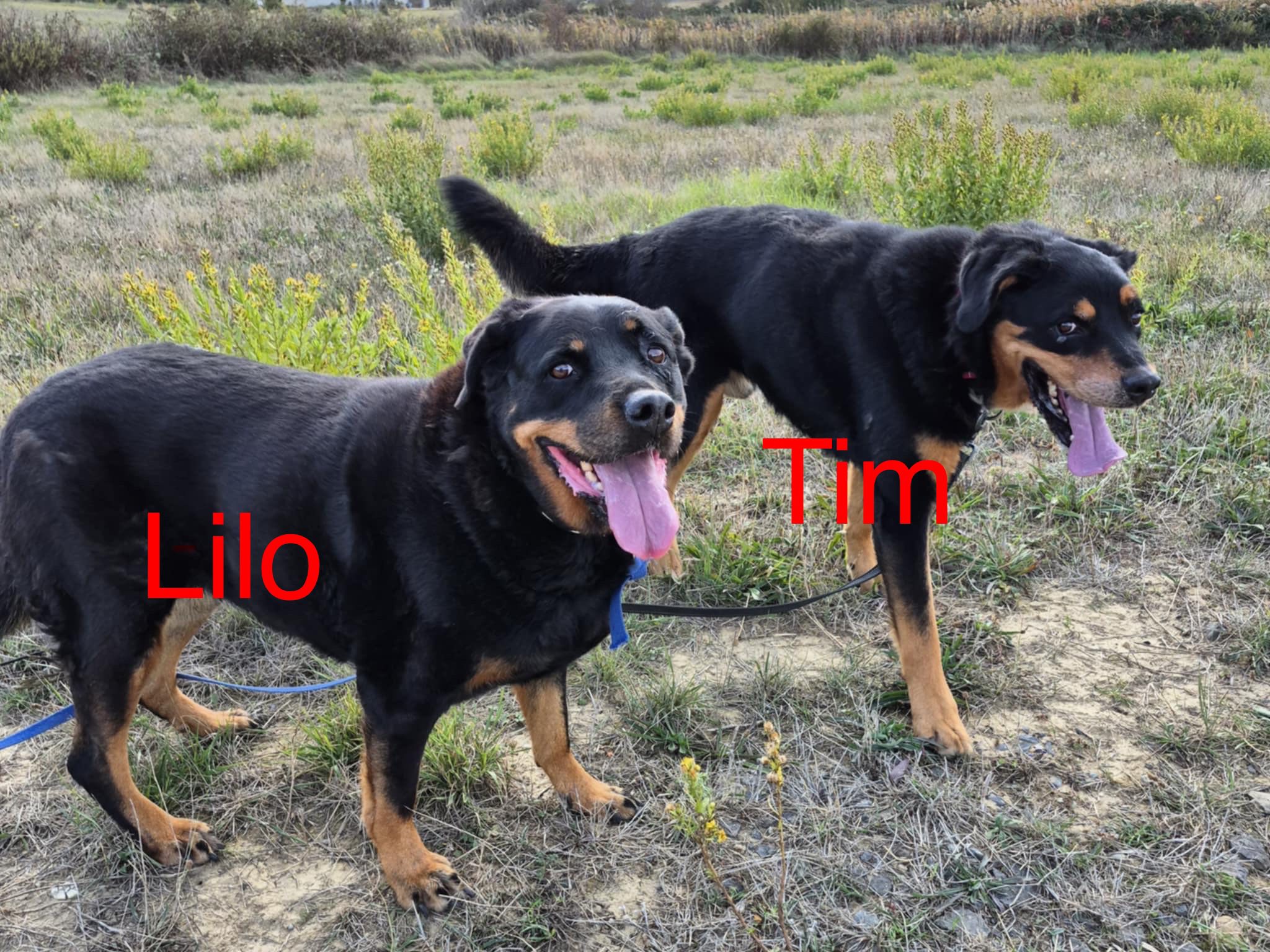 575125115_1242031247950581_570881737740958577_n