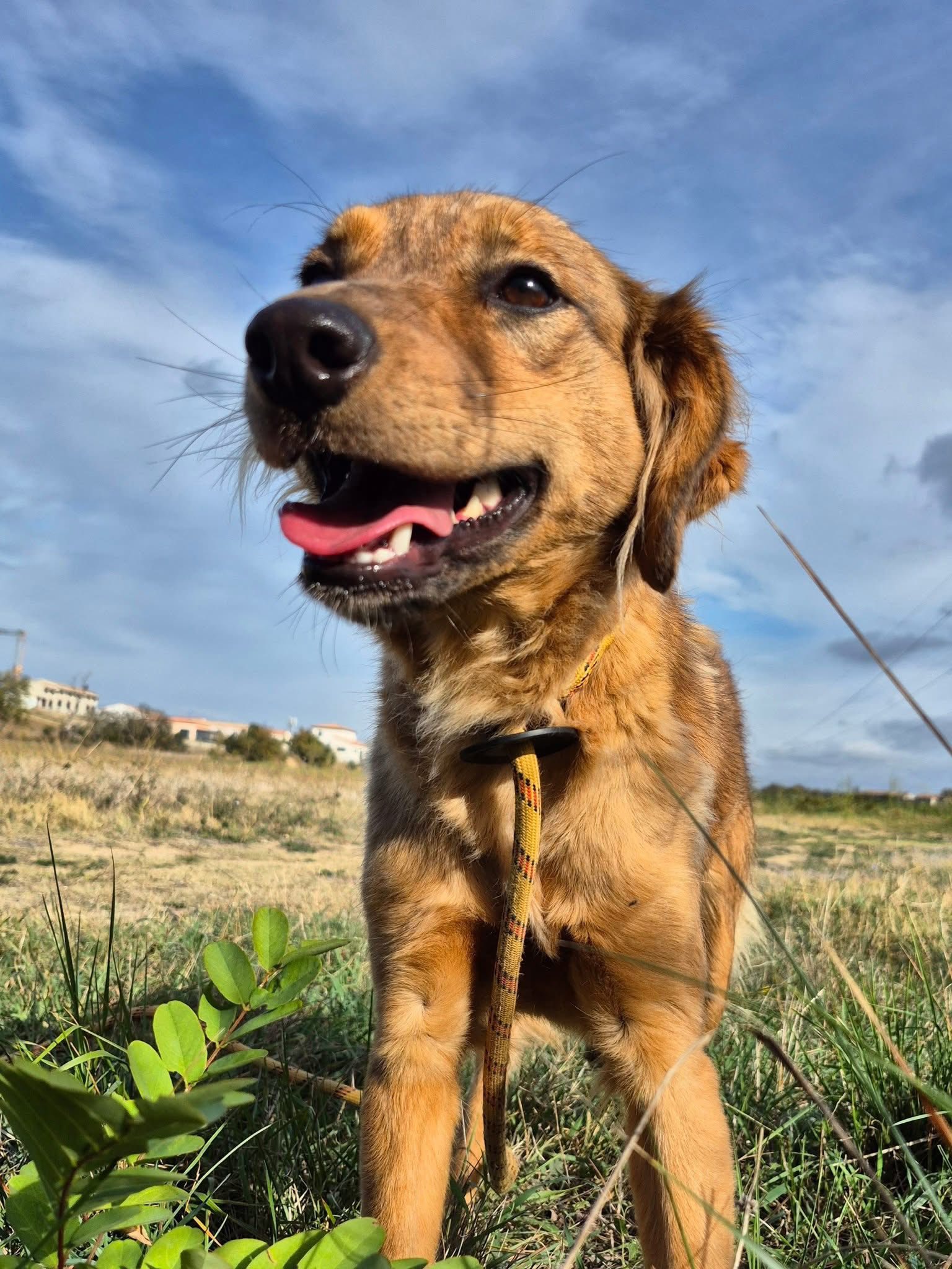 Lire la suite à propos de l’article Bichette